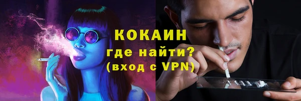 винт Алзамай