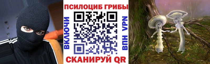 наркота Бердск Псилоцибиновые грибы прущие грибы