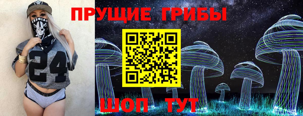 Галлюциногенные грибы Magic Shrooms  Вход с VPN  Галлюциногенные грибы MAGIC MUSHROOMS  Бердск 